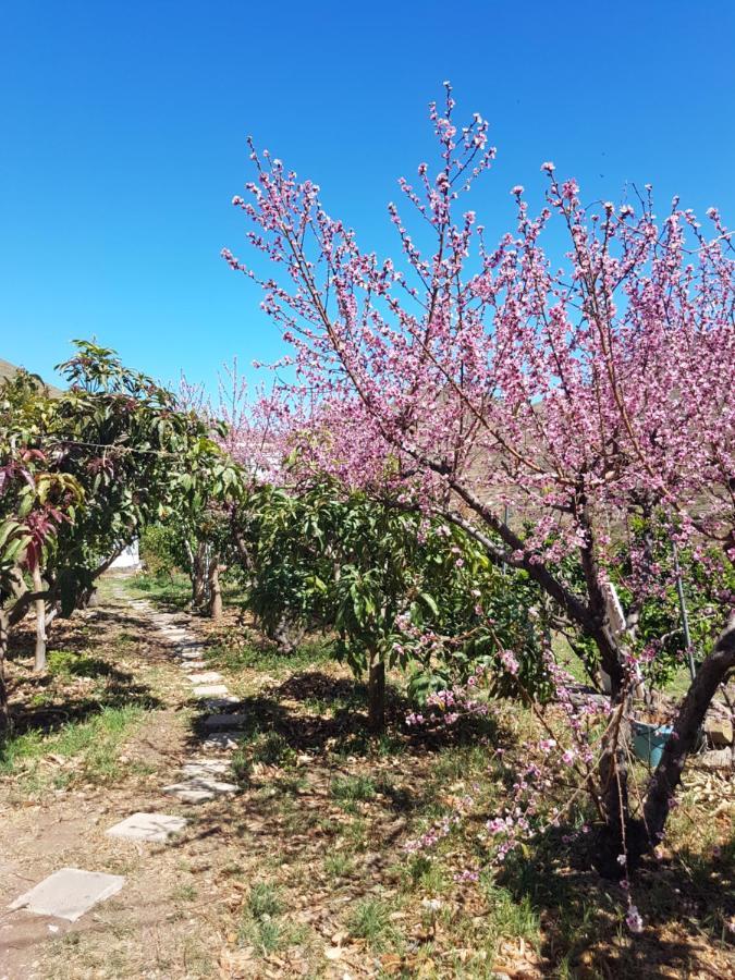 Casa Rural En Santa Cruz Los Campitos Εξωτερικό φωτογραφία